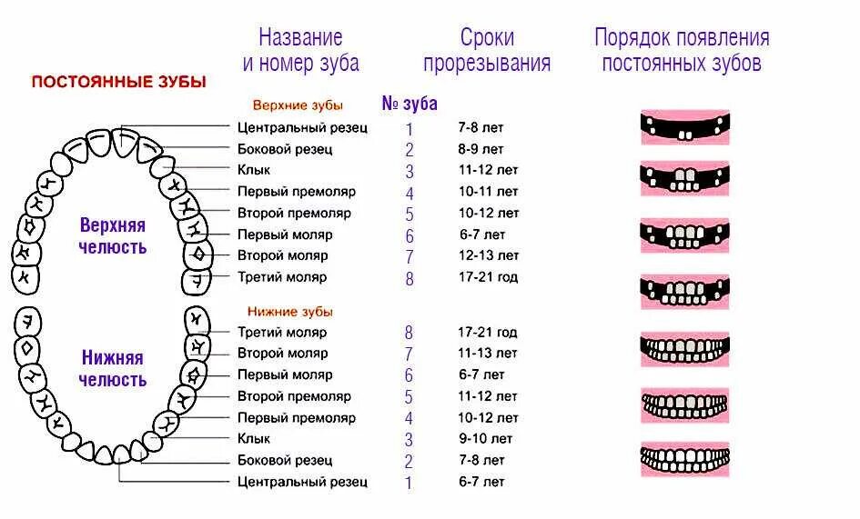 Температура зубы как сбивали