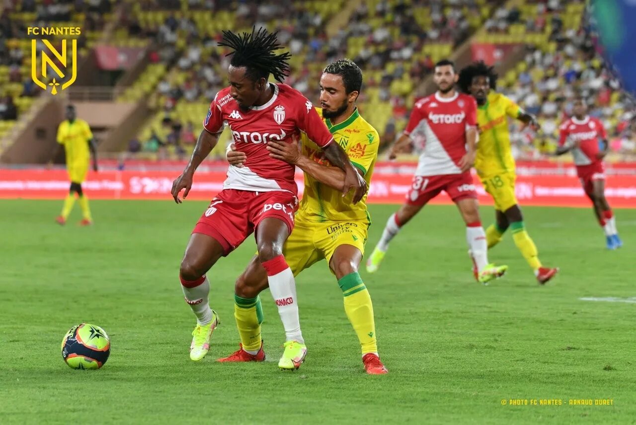 Соборная площадь париж. Сборная франции болельщики. Вернувшиеся франция. Бензема франция 2022. Чемпионат по регби новая зеландия.