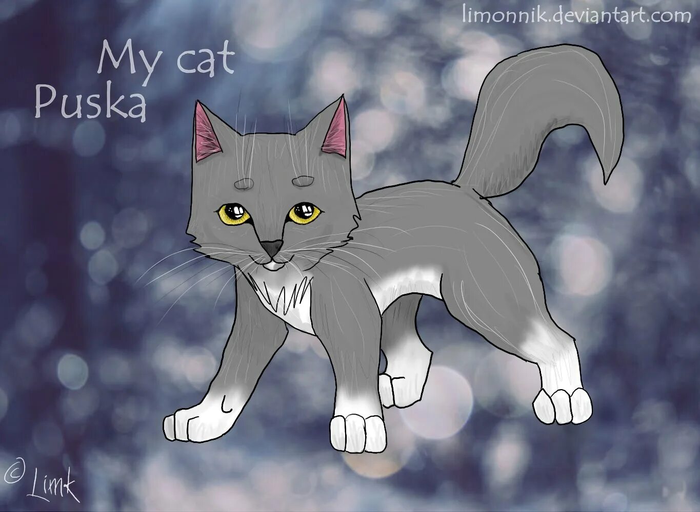 Коты воители легко. Коты воители для срисовки. коты воители рисунки. коты воители картинки для срисовки. коты воители рисунки карандашом.