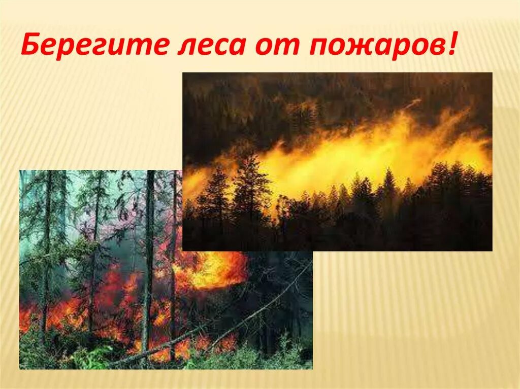 Почему лес опасен. Лесные опасности лесные пожары. опасность пожара в лесу. сообщение о пожарах в лесах. пожар в лесу презентация.