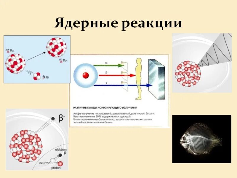 Ядерные силы и ядерные реакции. Ядерные реакции. ядерное взаимодействие. ядерные реакции физика.