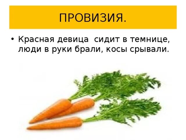Красна девица в темнице. Красная девица сидит в темнице а коса на улице. красная девица сидит в темнице. сидит девица в темнице а коса на улице отгадка. загадка про морковь красная девица сидит в темнице.