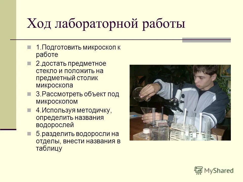 Ученики выполняют лабораторную работу. Ученик выполнил лабораторную работу по исследованию рычага. В ходе лабораторной работы ученик. Исследовательская работа школьников молочные грибки. В ходе лабораторной работы ученик.