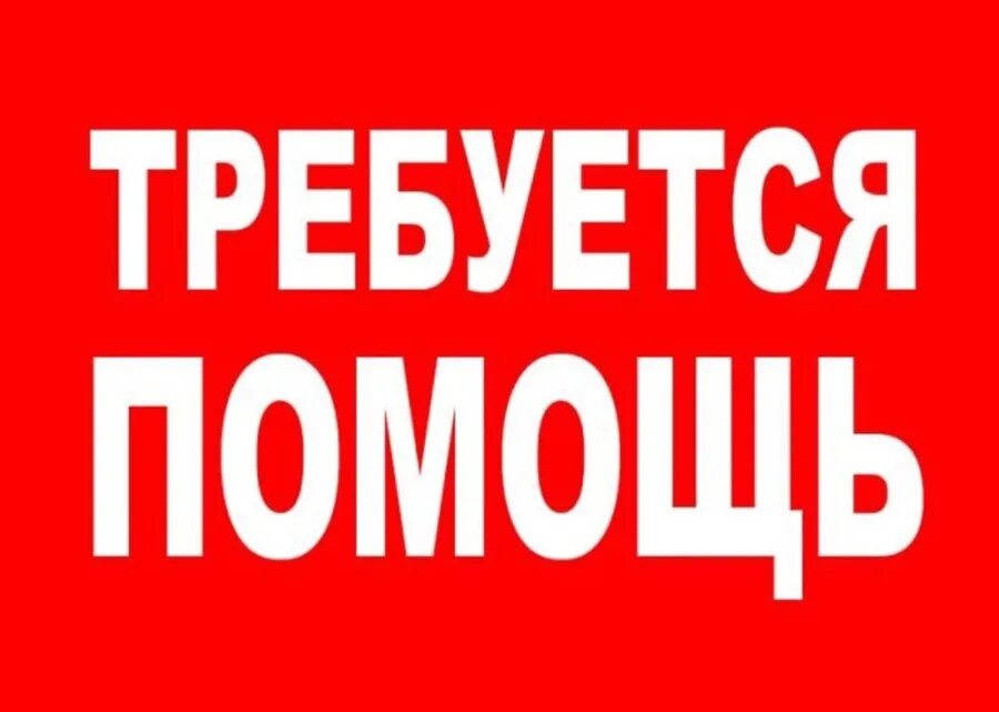 Срочная помощь. Требуется помощь. нужна помощь. внимание нужна помощь. прошу помощи.