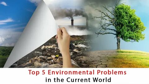 The threat to the environment
