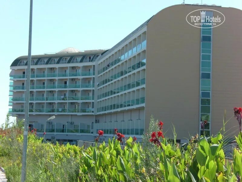 Хедеф бич 2025. Хедеф бич 2025