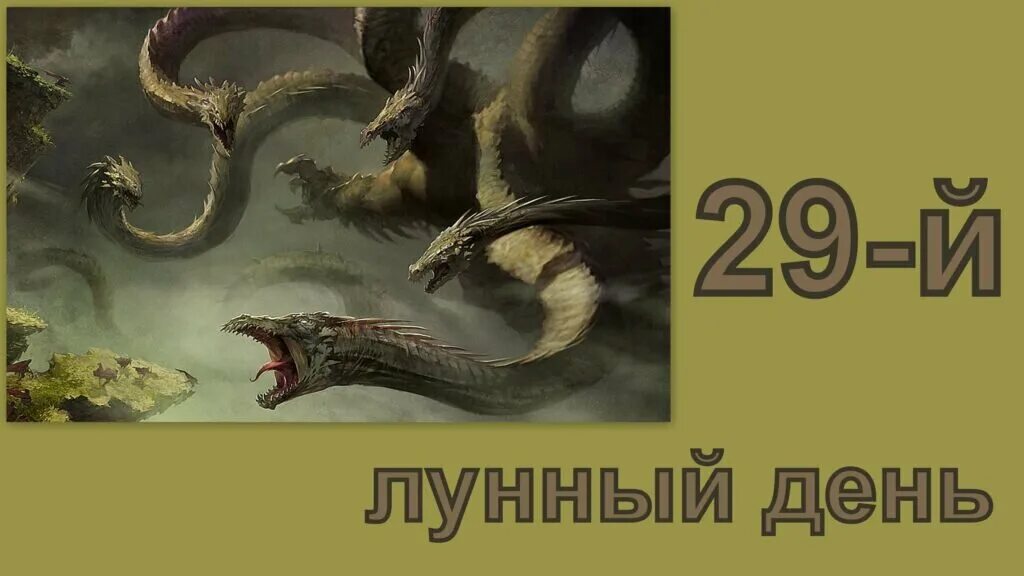 29 Лунный день. Символ 29 лунного дня. 29 Лунный день характеристика дня. Спрут 29 лунный день.