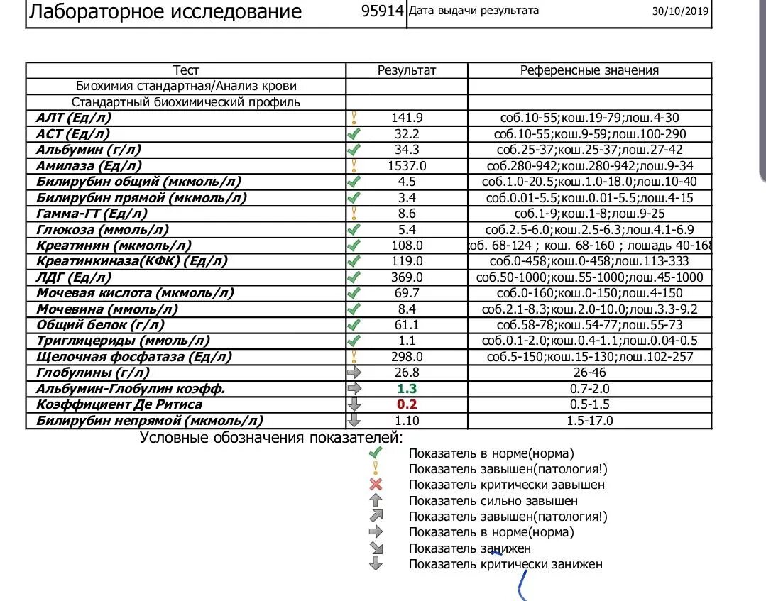 Общий и биохимический анализ в чем разница. Кровь биохимия показатели обозначение расшифровка. Стандарт биохимии крови расшифровка. Биохимические показатели крови расшифровка обозначений. Стандартный биохимический анализ крови.