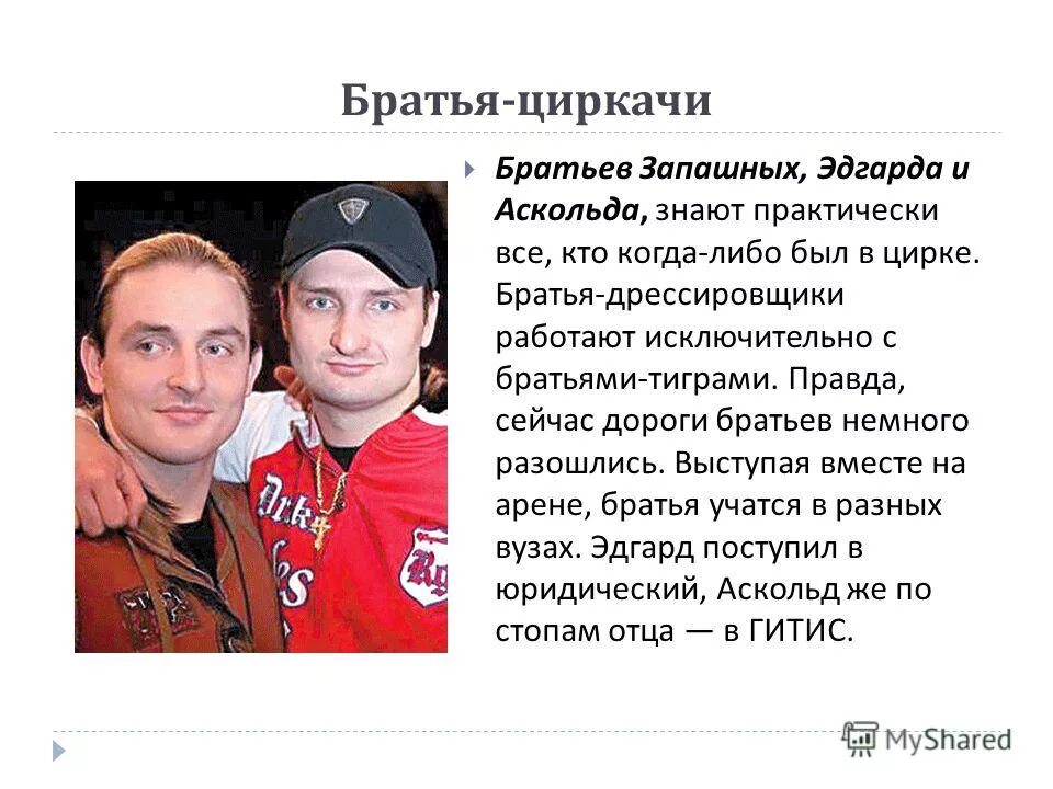 Эдгард запашный династия запашных. Семья запашных древо. Братья циркачи. Цирк вальтер запашный. Братья запашные фото.