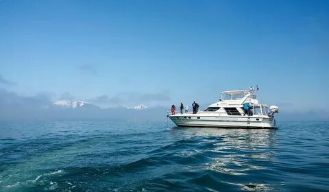 Морские экскурсии петропавловск камчатский