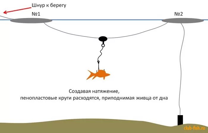 Оснастки на ловлю щуки. Донная снасть на щуку на живца. Щука на поплавок на живца оснастка. Снасточка для ловли на живца. Ловля щуки на живца с берега оснастка.