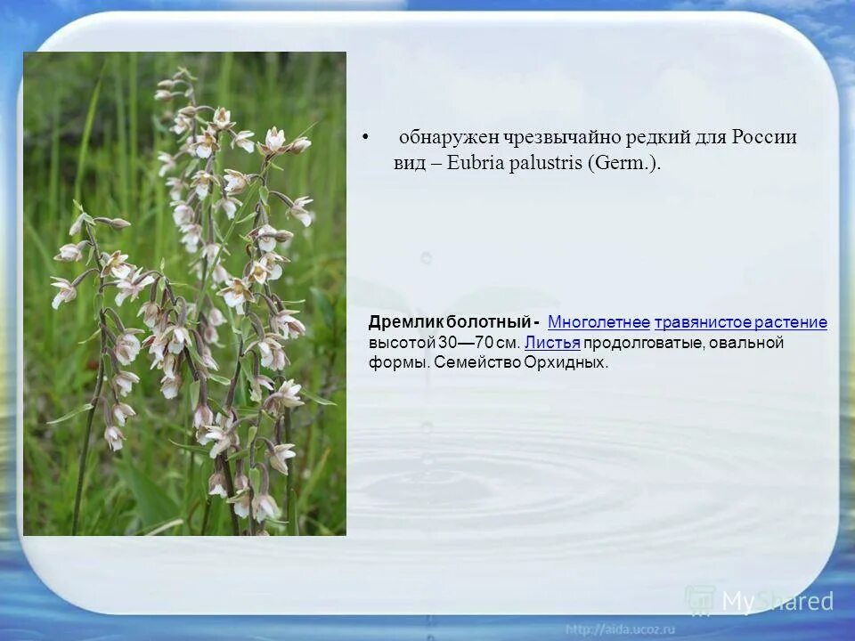 В смешанных исках как правило сочетались требования римское право. Чрезвычайно редкое. Чрезвычайно редкое. Птицы красной книги. Интересные факты о природе.