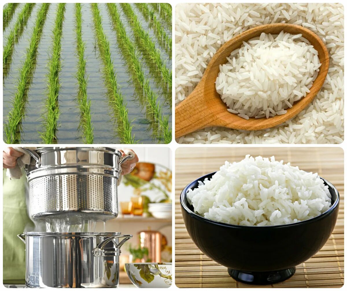 Способ приготовления риса. Вареный рис текстура. Рис для суши. Рис вареный. Что добавить в рис.