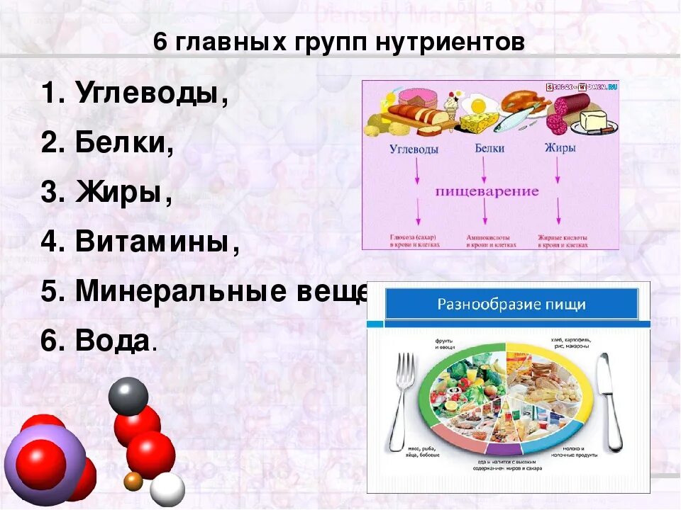 Для чего нужны белки жиры. Питательные вещества белки жиры углеводы схема. Белок и жиры. Витамины в белках жирах и углеводах. Жиры и углеводы.