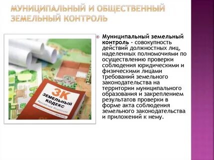 Муниципальная программа муниципальный земельный контроль