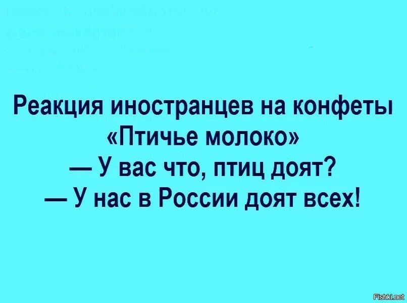 Птичье молоко прикол. Птичье молоко мем. Птичье молоко доят птиц. Птичье молоко прикол. Птичье молоко мем.