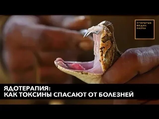 Спас болезнь. Спас болезнь