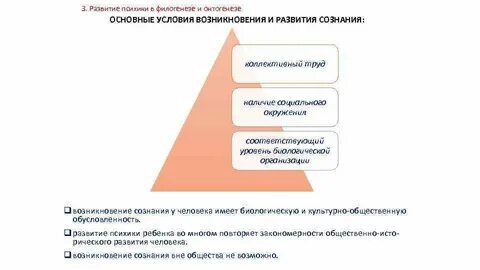 Свойства развития психики человека являются основными
