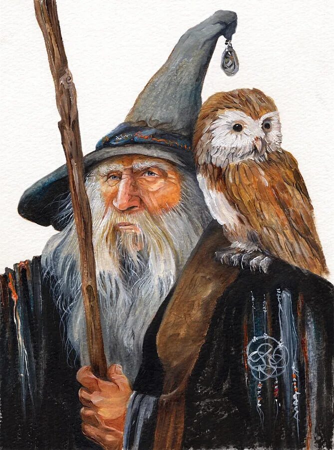 Wizard animals. Wise wizard. дед с совой картина. картина дед с филином. старик и сова иллюстрации.