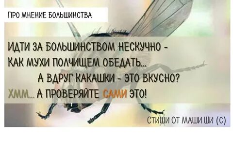 Большинство шло
