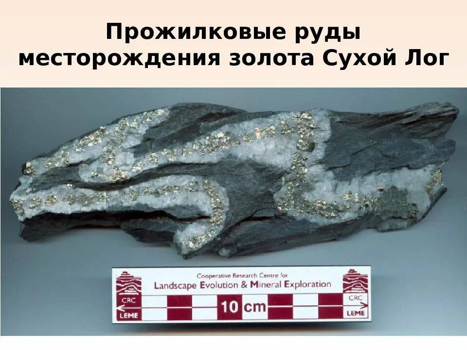 Сухой лог месторождение золота. Сухой лог месторождение золота иркутская. сухой лог прииск золото. сухой лог добыча золота.