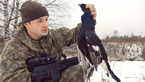 308 охота
