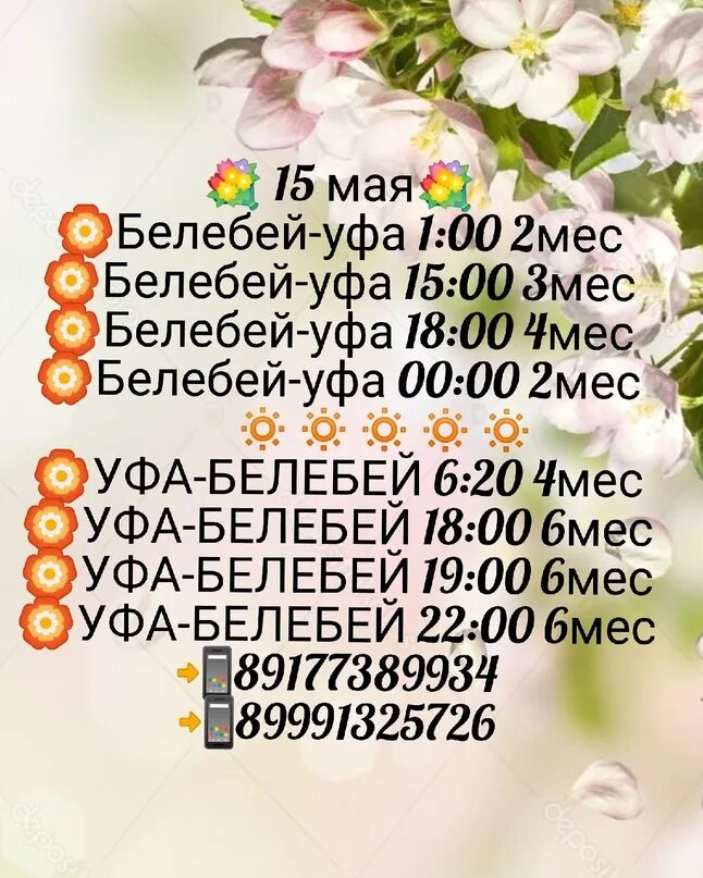 Белебей уфа автовокзал. Уфа белебей автобус. Белебей уфа автовокзал. Белебей уфа автовокзал. Белебей уфа автовокзал.