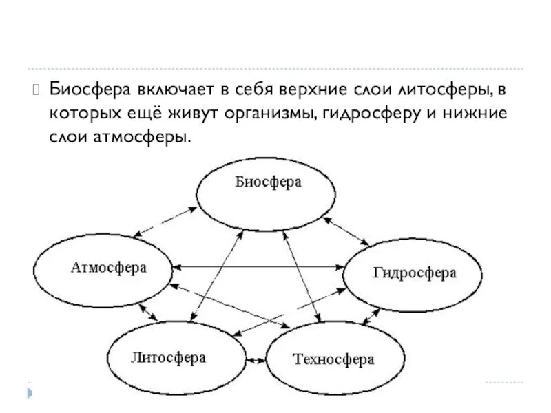 2 биосфера включает. Биосфера включает. Биосфера включает в себя 4 типа. Биосфера включает в себя всю гидросферу. Биосфера не включает в себя.