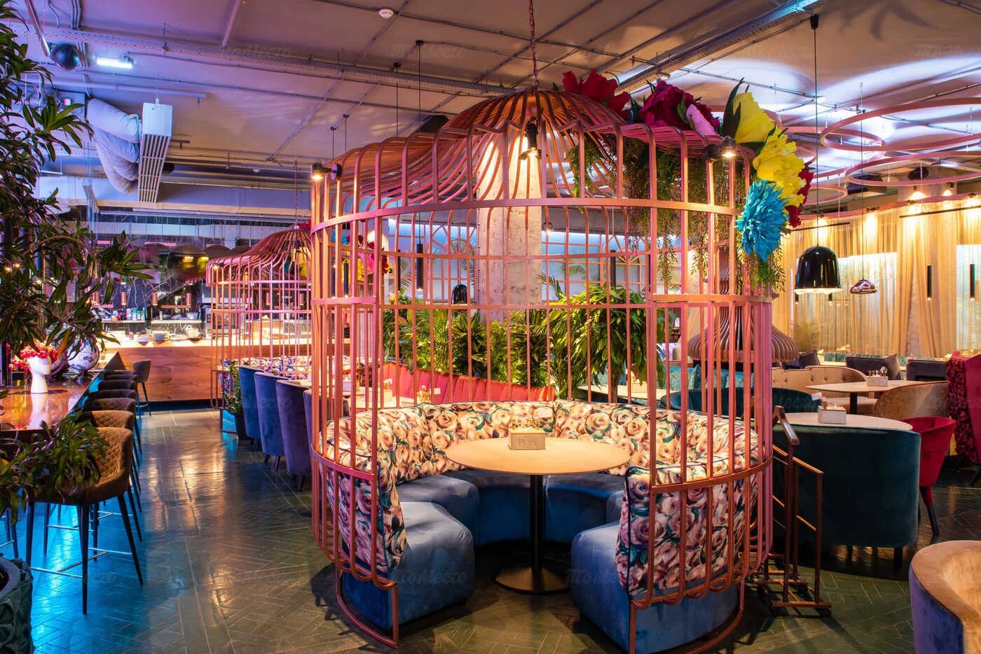 Ресторан плов проджект. Ресторан плов на малой дмитровке. Ресторан плов малая дмитровка 20. Ресторан плов проджект екатеринбург. Ресторан плов проджект екатеринбург.