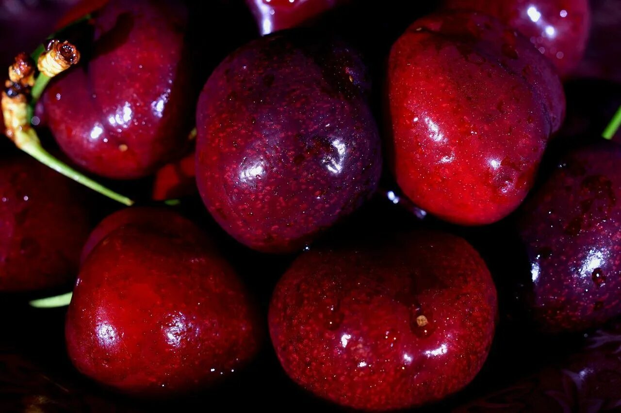 Красные фрукты названия. Красные фрукты. Маленький красный фрукт. Красный сладкий фрукт. Красные фрукты вишня.