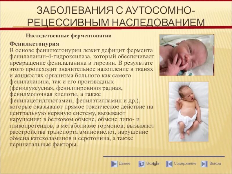 Тип наследования фенилкетонурии. Фенилкетонурия тип наследования аутосомно. аутосомно-рецессивное наследование фенилкетонурии. наследование фенилкетонурии аутосомно. болезнь фенилкетонурия тип наследования.