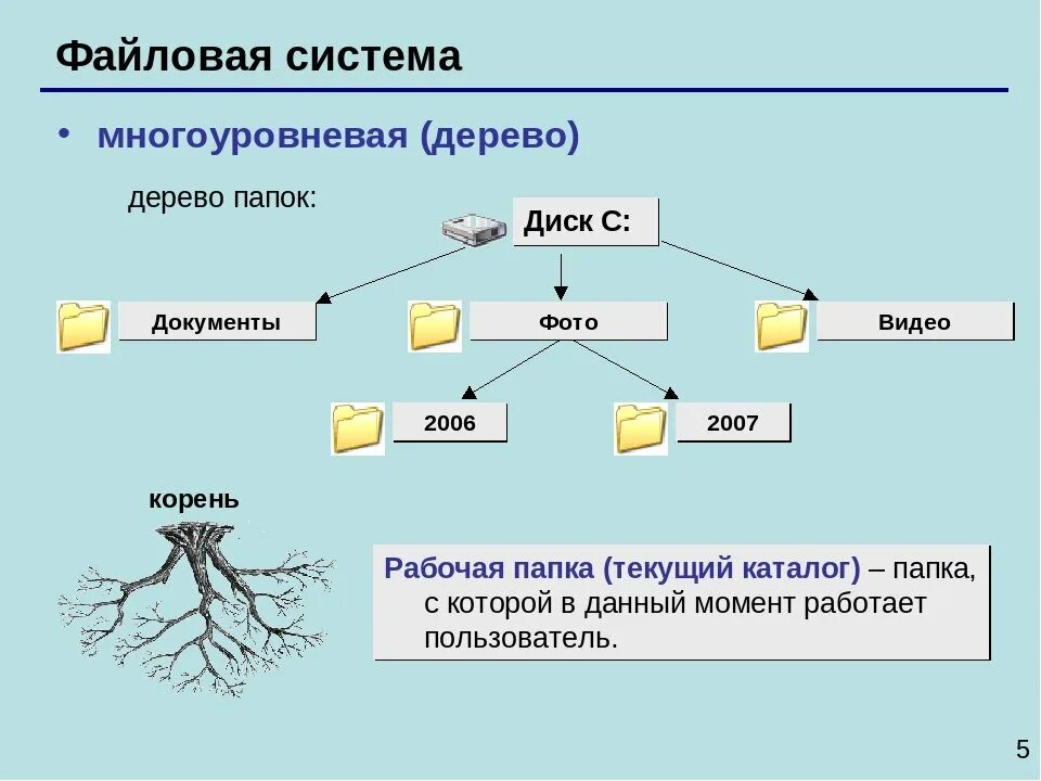 Программы для компьютеров файлы и папки
