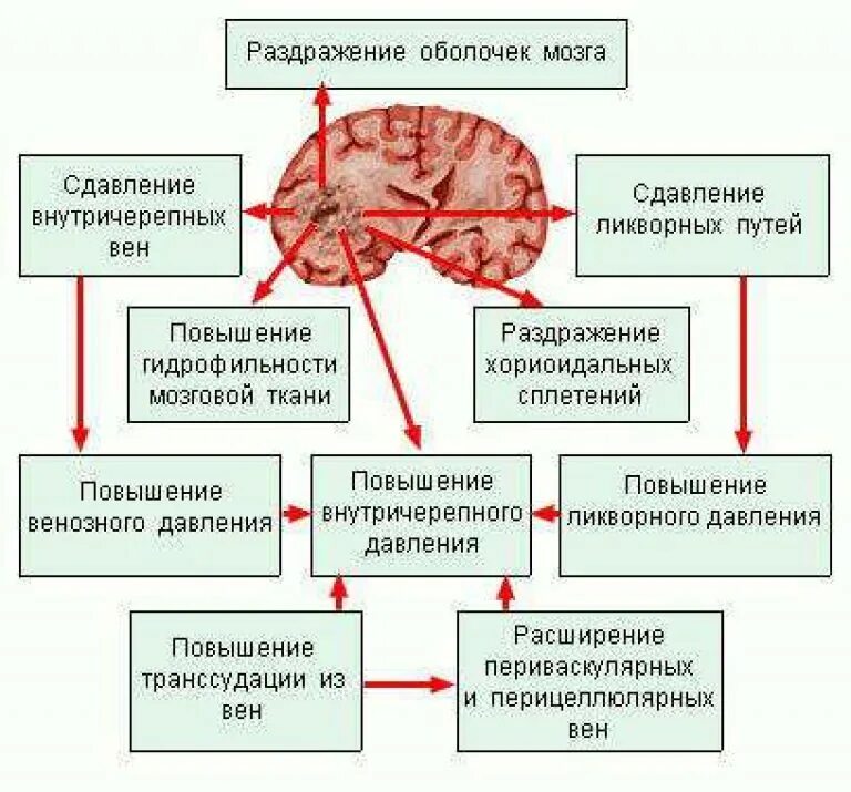 Причины заболеваний головного мозга. Клиническая картина опухолей головного мозга. Патогенез опухолей головного мозга неврология. Причины опухоли головного мозга причины. Объемное образование головного мозга.