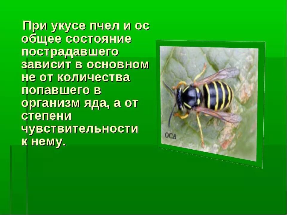 Защита от насекомых обж. Защита от жалящих насекомых. Презентация на тему укусы насекомых. Жалящие насекомые презентация.