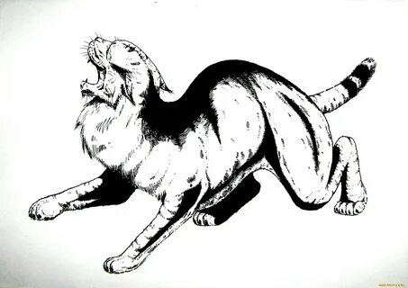 Коты твари