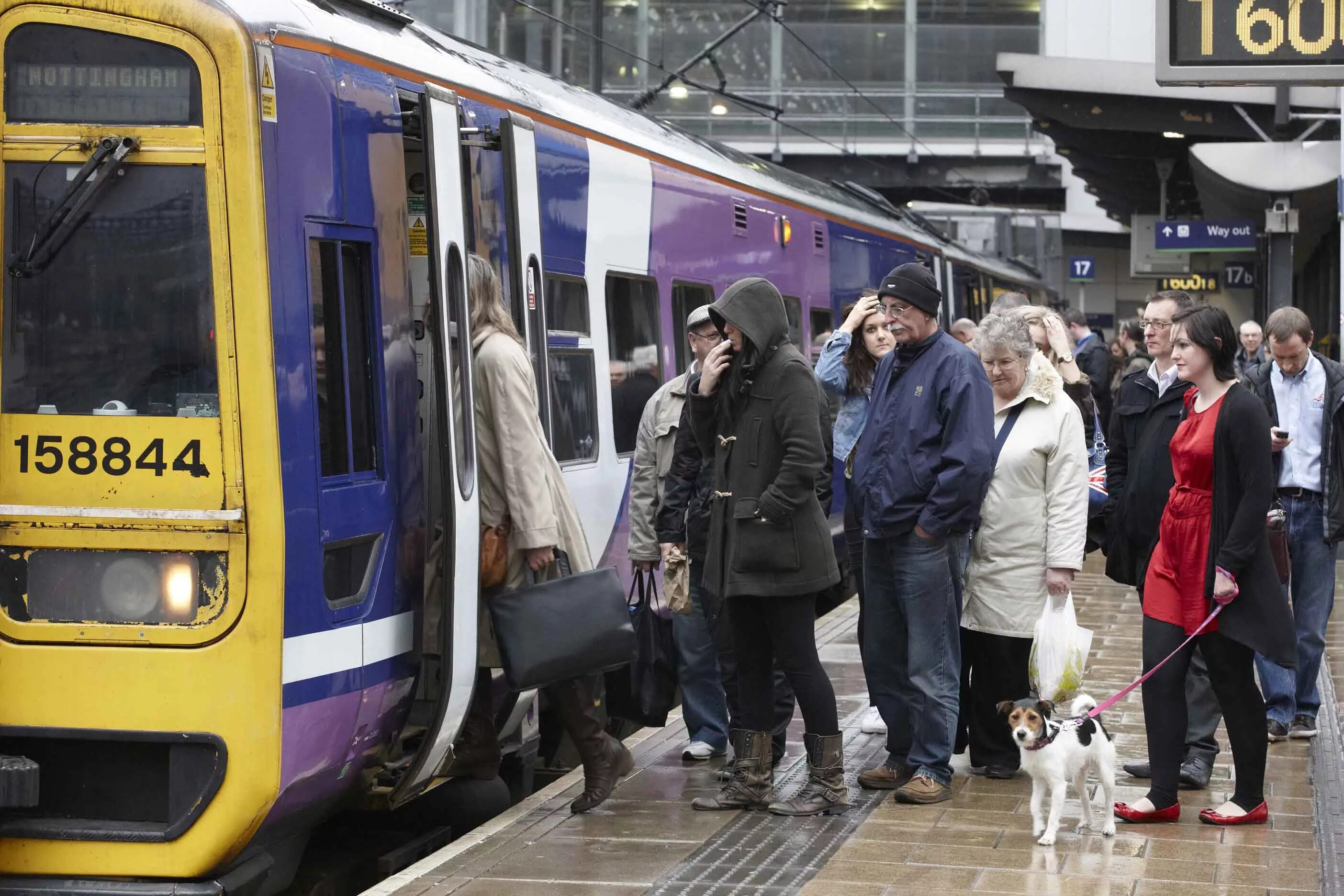 Passenger Train. Passenger on the Train. Train Board. Railway Station Boarding. To get on a train