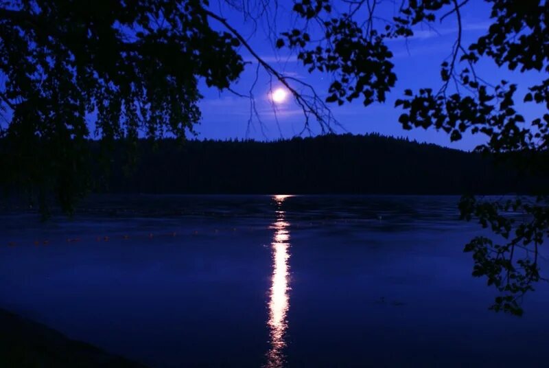 Ночь реки вышли. Ночное озеро. Луна река. Озеро ночью. Вода в реке ночью.
