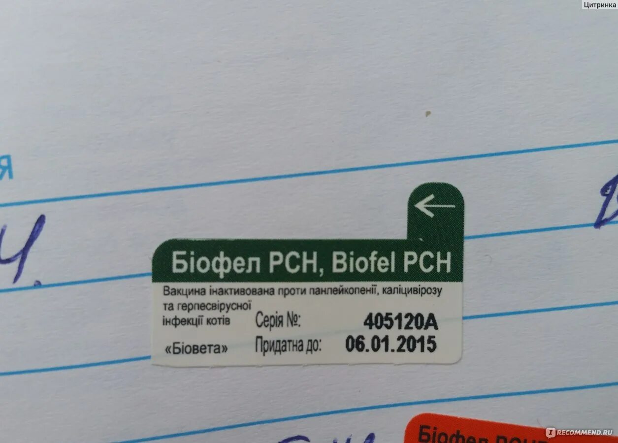 Biofel PCH. Биофел вакцина от бешенства. Вакцина Биофел РСН для кошек. Биофел с бешенством вакцина для кошек.