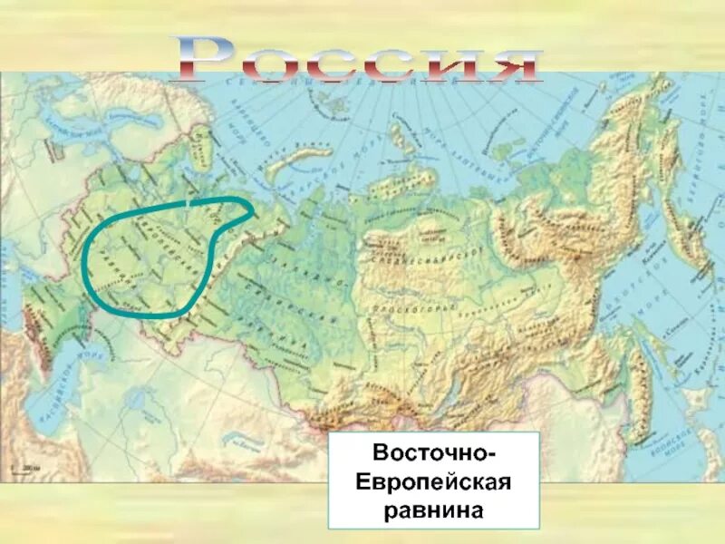 Великие равнины на карте полушарий. Восточно-европейская равнина на карте Евразии. Восточно европейская равнина на физической карте Евразии.