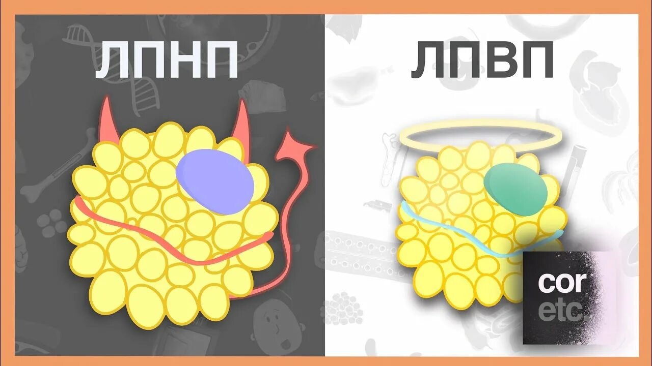 Плотный плохой. Плохой холестерин. Липопротеины низкой плотности. Хороший холестерин это какой плотности. Постер хороший и плохой холестерин.