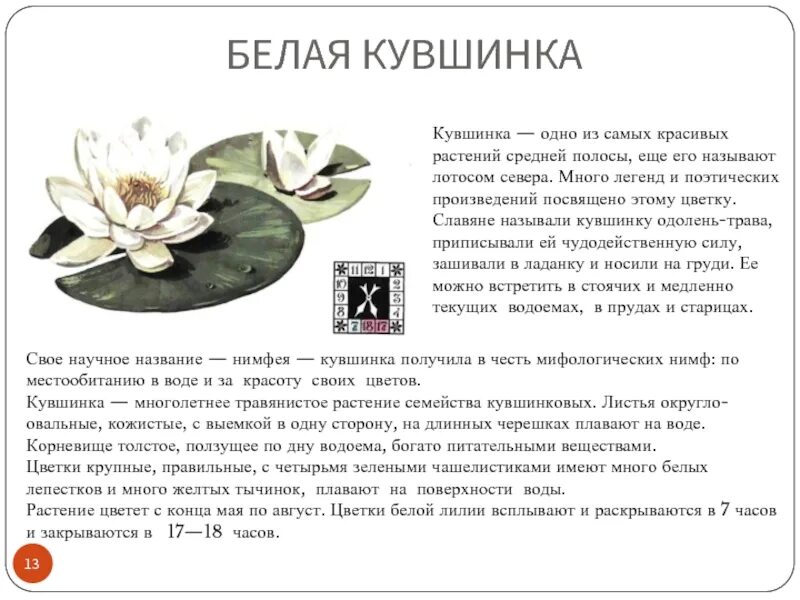 Кувшинки текст егэ. Кувшинки текст егэ. Кувшинки текст егэ. Кувшинка четырехгранная красная книга кировской области. Растения которые занесены в красную книгу пермского края.