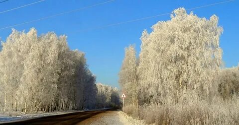 Прогноз вязники на неделю владимирская