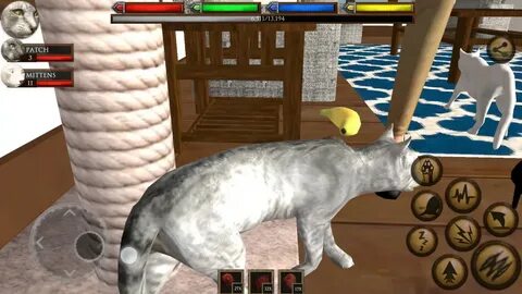 Жизнь кошек играть