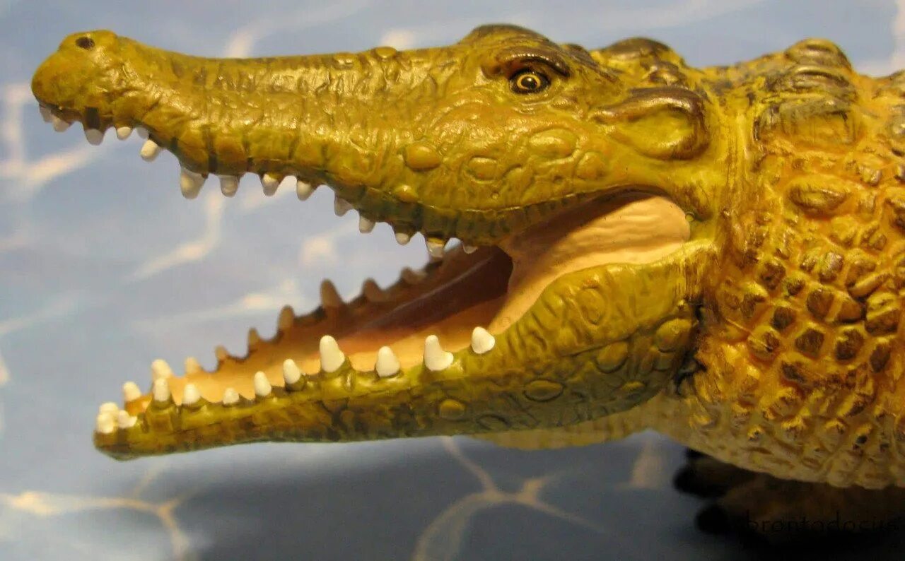 желтый крокодил