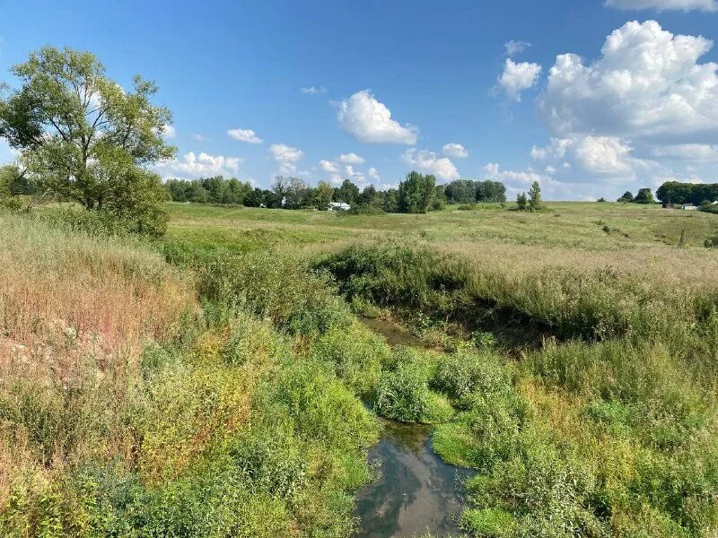 тургенев речка гнилотерка. река гнилотерка тургенев произведение. тургенев речка гнилотерка. речка гнилотерка в произведении тургенева. тургенев тема родины.