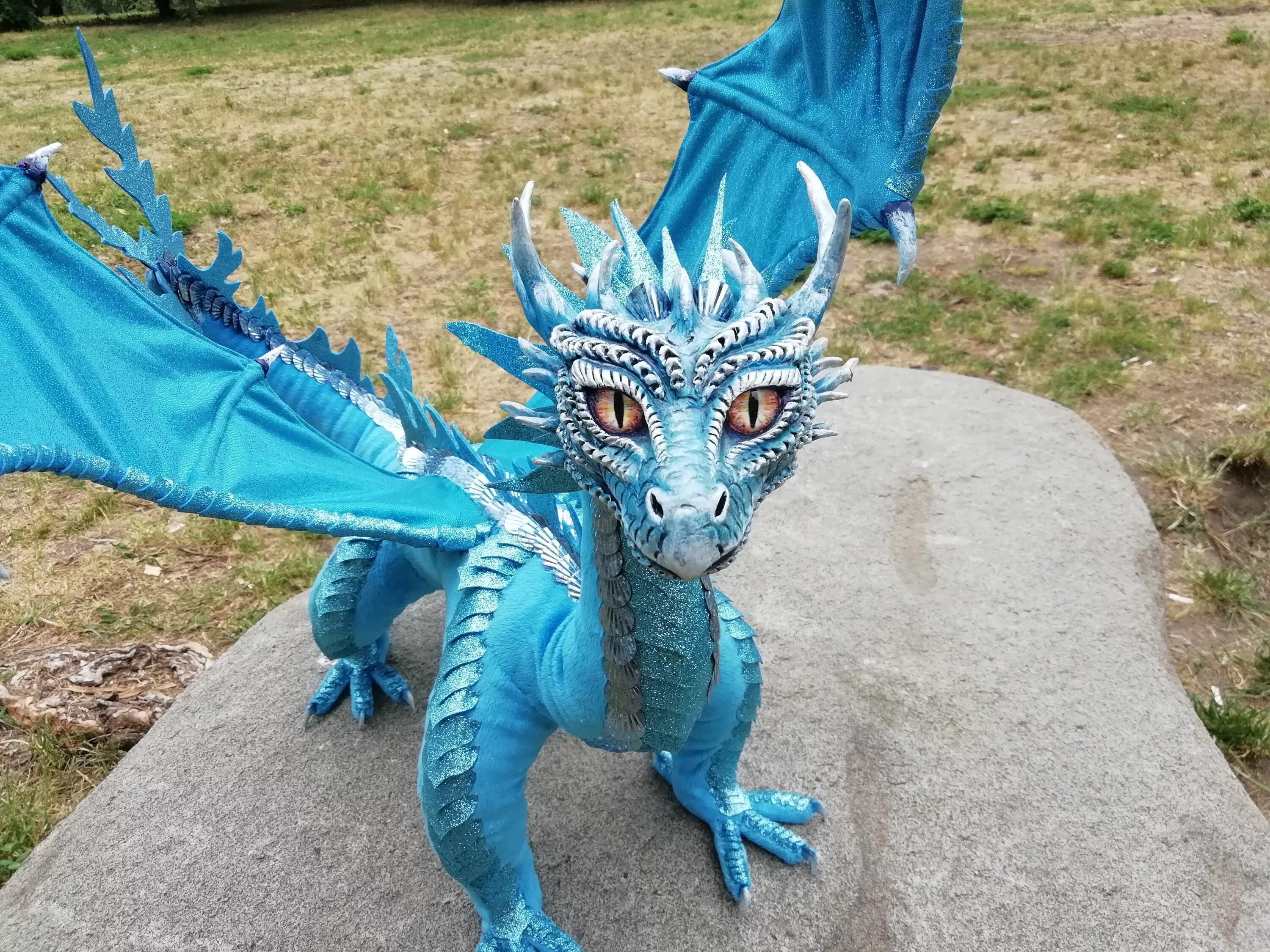 дракенв реальной жизни. драконы в реальной жизни. дракен в реальной жизни. самые красивые драконы. ночная фурия.