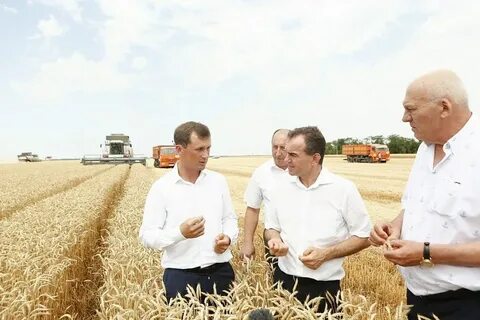 Продукция сельского хозяйства краснодарского края
