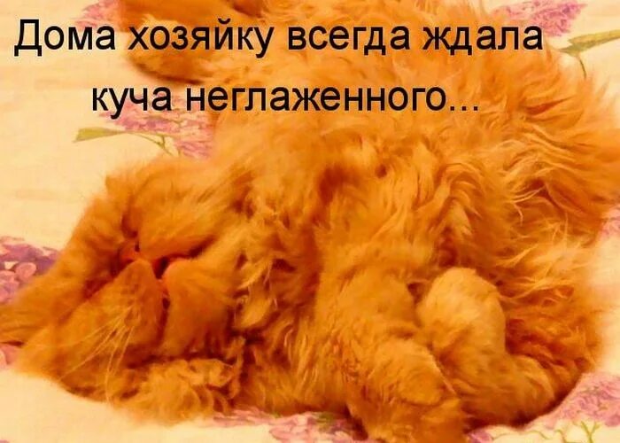 Ждать многого