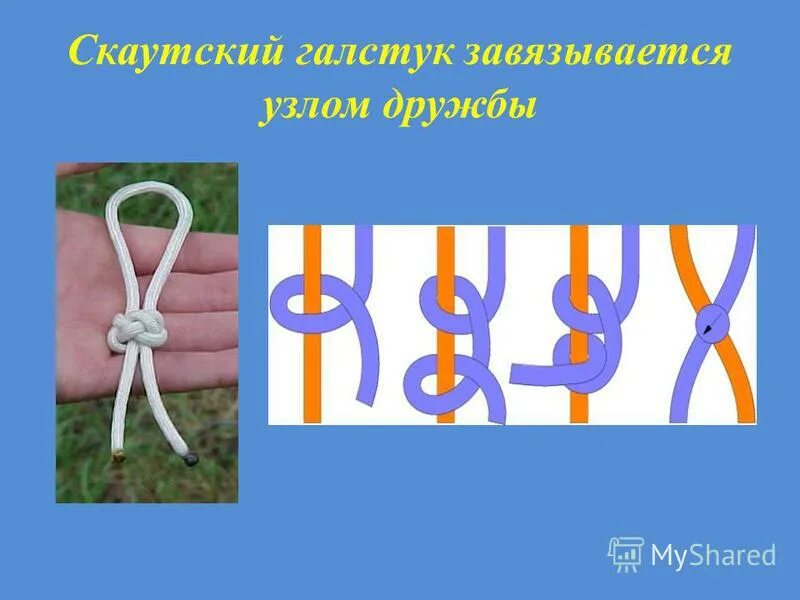 Узел дружбы схема. Как завязать узел дружбы. Узлы скаутинга. Скаутский узел на галстуке. Узел дружбы.