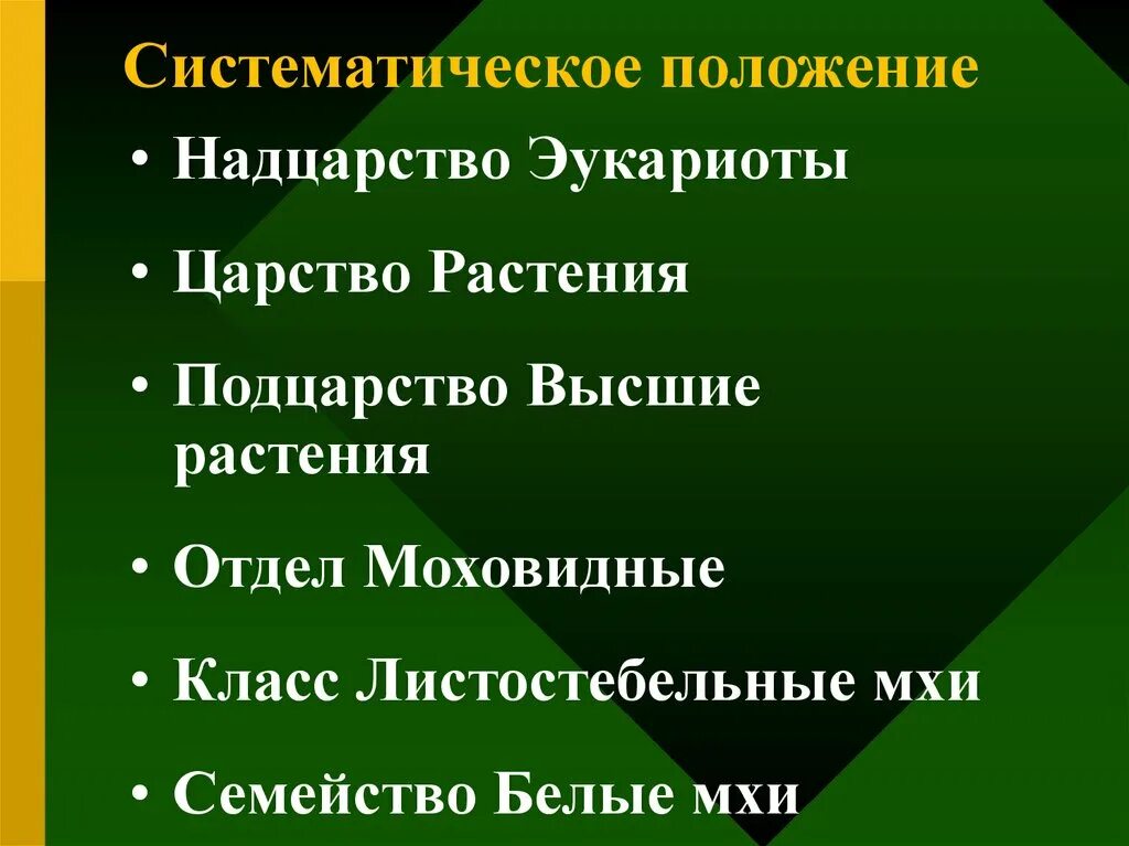 Систематическое положение растений примеры 7. Систематическое положение растений примеры 7